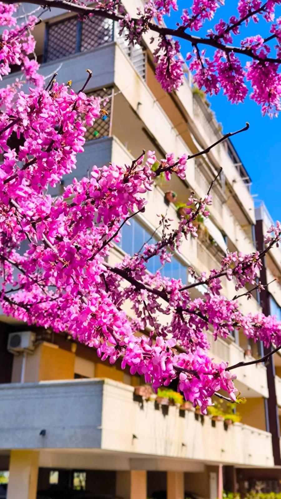 Rome Sweet Home Vitinia Екстер'єр фото