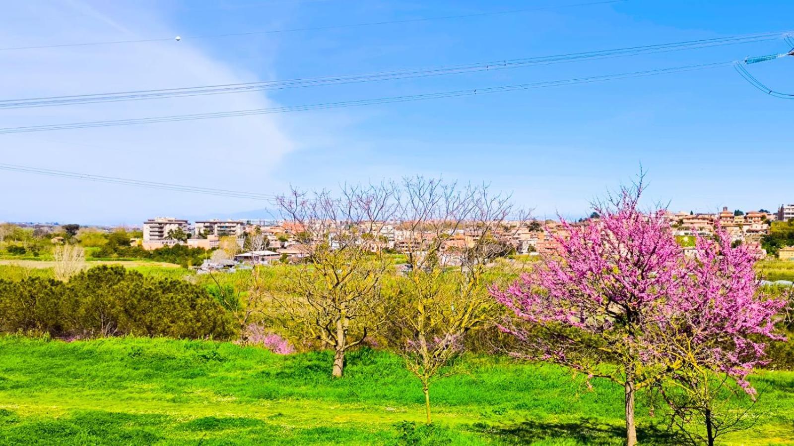 Rome Sweet Home Vitinia Екстер'єр фото