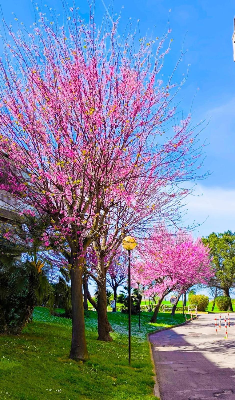 Rome Sweet Home Vitinia Екстер'єр фото